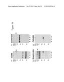 IMMOBILISED CYCLIN-DEPENDENT KINASE 4 FUSION PROTEINS AND USES THEREOF diagram and image