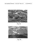 Fibrous Structures Comprising a Polymer Structure diagram and image