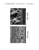 DISPERSION OF CARBON ENHANCED REINFORCEMENT FIBERS IN AQUEOUS OR     NON-AQUEOUS MEDIA diagram and image