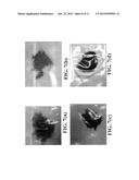 DISPERSION OF CARBON ENHANCED REINFORCEMENT FIBERS IN AQUEOUS OR     NON-AQUEOUS MEDIA diagram and image