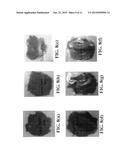 DISPERSION OF CARBON ENHANCED REINFORCEMENT FIBERS IN AQUEOUS OR     NON-AQUEOUS MEDIA diagram and image