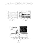 DIAGNOSTIC METHODS FOR NEURAL DISORDERS diagram and image