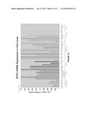 B7-H3 AS A BIOMARKER FOR DIAGNOSING THE PROGRESSION AND EARLY LYMPH NODE     METASTASIS OF CANCER diagram and image