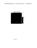 Magnetic Resonance Fingerprinting With Steady State Precession (MRF-FISP) diagram and image