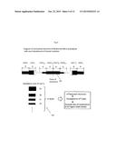 MULTIMODE RESONATOR AND RFID TAGS USING THE SAME diagram and image