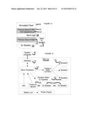 SUITE OF COORDINATING DIAGNOSTIC MEDICAL SIMULATORS FOR LIVE TRAINING AND     EVALUATION diagram and image