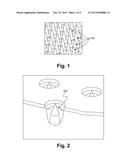 APPARATUS AND METHOD OF MULTI-BIT AND GRAY-SCALE HIGH DENSITY DATA STORAGE diagram and image