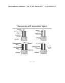 PASSIVATED UPSTANDING NANOSTRUCTURES AND METHODS OF MAKING THE SAME diagram and image