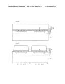 LIGHT EMITTING APPARATUS diagram and image