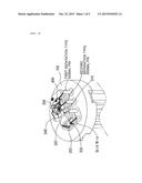 Temperature Controllable High Bit Rate Laser Diode diagram and image