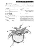 WATER DIVERTER FOR PLANT HOLDING DEVICES diagram and image