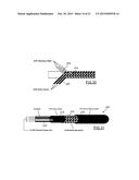 SECURITY SYSTEM FOR DISPLAYING OBJECTS diagram and image