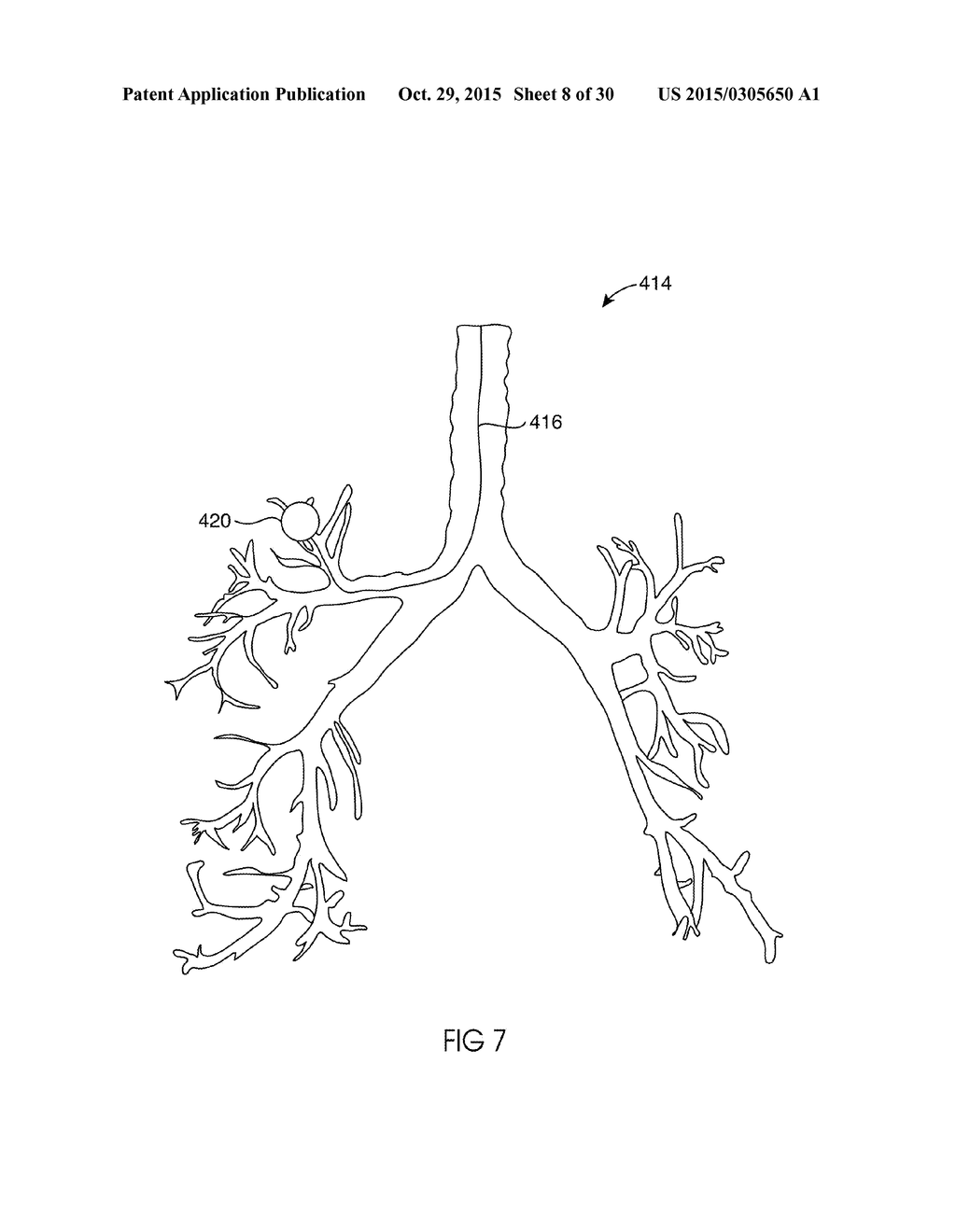 APPARATUSES AND METHODS FOR ENDOBRONCHIAL NAVIGATION TO AND CONFIRMATION     OF THE LOCATION OF A TARGET TISSUE AND PERCUTANEOUS INTERCEPTION OF THE     TARGET TISSUE - diagram, schematic, and image 09