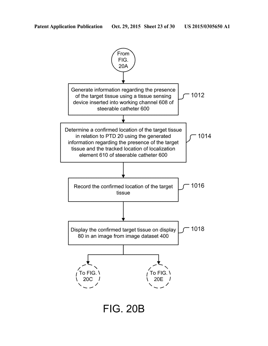 APPARATUSES AND METHODS FOR ENDOBRONCHIAL NAVIGATION TO AND CONFIRMATION     OF THE LOCATION OF A TARGET TISSUE AND PERCUTANEOUS INTERCEPTION OF THE     TARGET TISSUE - diagram, schematic, and image 24