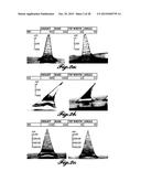 MICROSTRUCTURE-BASED WOUND CLOSURE DEVICES diagram and image