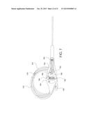 HOLLOW BODY CAVITY ABLATION APPARATUS diagram and image