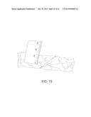 HOLLOW BODY CAVITY ABLATION APPARATUS diagram and image