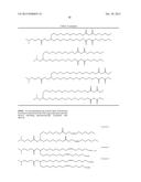 IMPROVED NUCLEIC ACID LIPID PARTICLE FORMULATIONS diagram and image