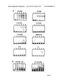 SMALL MOLECULE ANTAGONISTS OF BACTERIAL QUORUM-SENSING RECEPTORS diagram and image