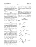 Carbapenem Antibacterials with Gram-Negative Activity diagram and image