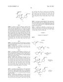 Carbapenem Antibacterials with Gram-Negative Activity diagram and image