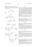 Carbapenem Antibacterials with Gram-Negative Activity diagram and image