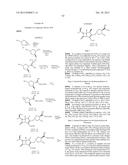 Carbapenem Antibacterials with Gram-Negative Activity diagram and image