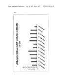 CHITOSAN COVALENTLY LINKED WITH SMALL MOLECULE INTEGRIN ANTAGONIST FOR     TARGETED DELIVERY diagram and image