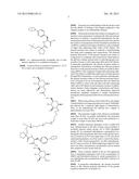 CHITOSAN COVALENTLY LINKED WITH SMALL MOLECULE INTEGRIN ANTAGONIST FOR     TARGETED DELIVERY diagram and image