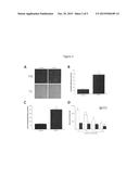 Compositions and Methods for Inducing Liver Regeneration by Administering     Hepatocyte-Derived Exosomes diagram and image