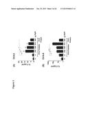 HMGB1-DERIVED PEPTIDES ENHANCE IMMUNE RESPONSE TO ANTIGENS diagram and image