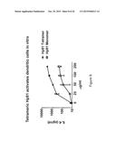 HMGB1-DERIVED PEPTIDES ENHANCE IMMUNE RESPONSE TO ANTIGENS diagram and image