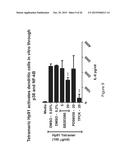 HMGB1-DERIVED PEPTIDES ENHANCE IMMUNE RESPONSE TO ANTIGENS diagram and image