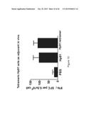 HMGB1-DERIVED PEPTIDES ENHANCE IMMUNE RESPONSE TO ANTIGENS diagram and image