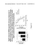 HMGB1-DERIVED PEPTIDES ENHANCE IMMUNE RESPONSE TO ANTIGENS diagram and image