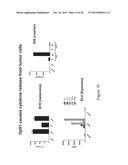 HMGB1-DERIVED PEPTIDES ENHANCE IMMUNE RESPONSE TO ANTIGENS diagram and image