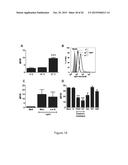 HMGB1-DERIVED PEPTIDES ENHANCE IMMUNE RESPONSE TO ANTIGENS diagram and image