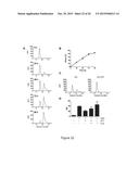 HMGB1-DERIVED PEPTIDES ENHANCE IMMUNE RESPONSE TO ANTIGENS diagram and image