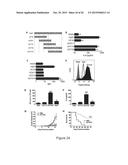 HMGB1-DERIVED PEPTIDES ENHANCE IMMUNE RESPONSE TO ANTIGENS diagram and image