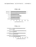 STABILIZED PROTEIN GEL PREPARATION diagram and image