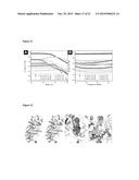 HYDROGELATORS COMPRISING D-AMINO ACIDS diagram and image