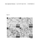 HYDROGELATORS COMPRISING D-AMINO ACIDS diagram and image