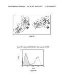 ANTIBODY DRUG CONJUGATES (ADC) THAT BIND TO 191P4D12 PROTEINS diagram and image