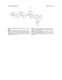 ANTIBODY DRUG CONJUGATES (ADC) THAT BIND TO 191P4D12 PROTEINS diagram and image