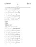 ANTIBODY DRUG CONJUGATES (ADC) THAT BIND TO 191P4D12 PROTEINS diagram and image