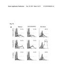 COMPOSITIONS AND METHODS FOR DETECTING COMPLEMENT ACTIVATION diagram and image