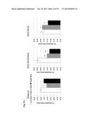 COMPOSITIONS AND METHODS FOR DETECTING COMPLEMENT ACTIVATION diagram and image