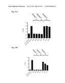 COMPOSITIONS AND METHODS FOR DETECTING COMPLEMENT ACTIVATION diagram and image