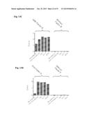COMPOSITIONS AND METHODS FOR DETECTING COMPLEMENT ACTIVATION diagram and image