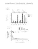 COMPOSITIONS AND METHODS FOR DETECTING COMPLEMENT ACTIVATION diagram and image